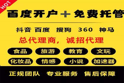 成功SEM服务案例：优化广告投放